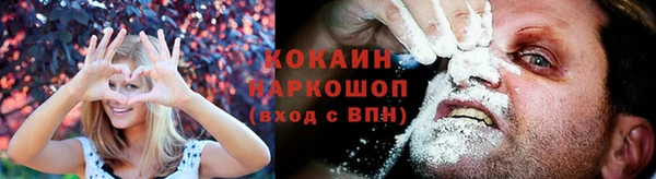 индика Армянск