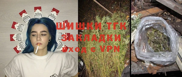 гашик Аркадак