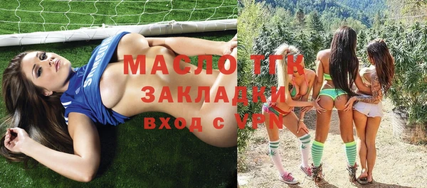индика Армянск
